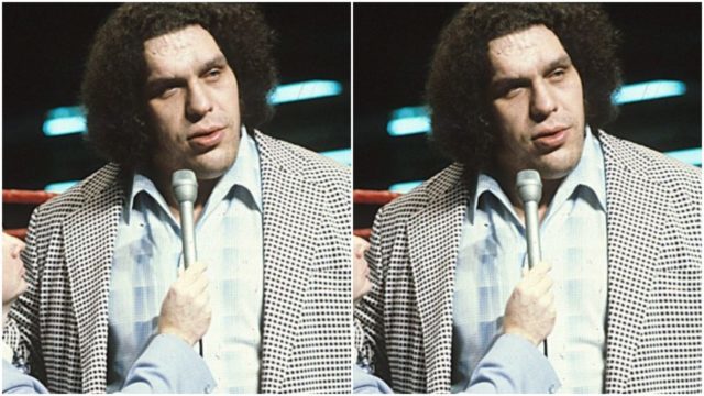 7 Things You Didn’t Know About Andre The Giant: How Tall Was He ...