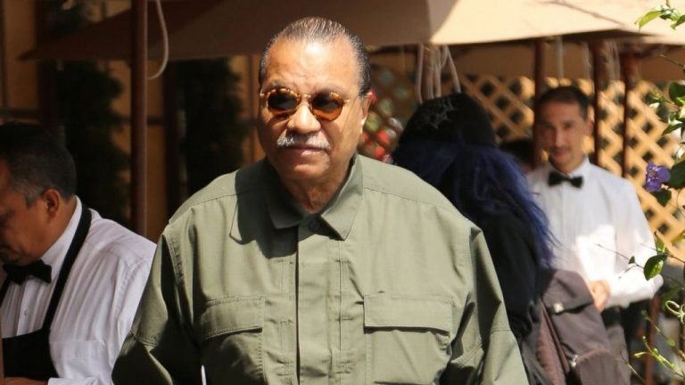 Billy Dee Williams – Bio, Spouse, Net Worth, Age, Dead Or Alive ...