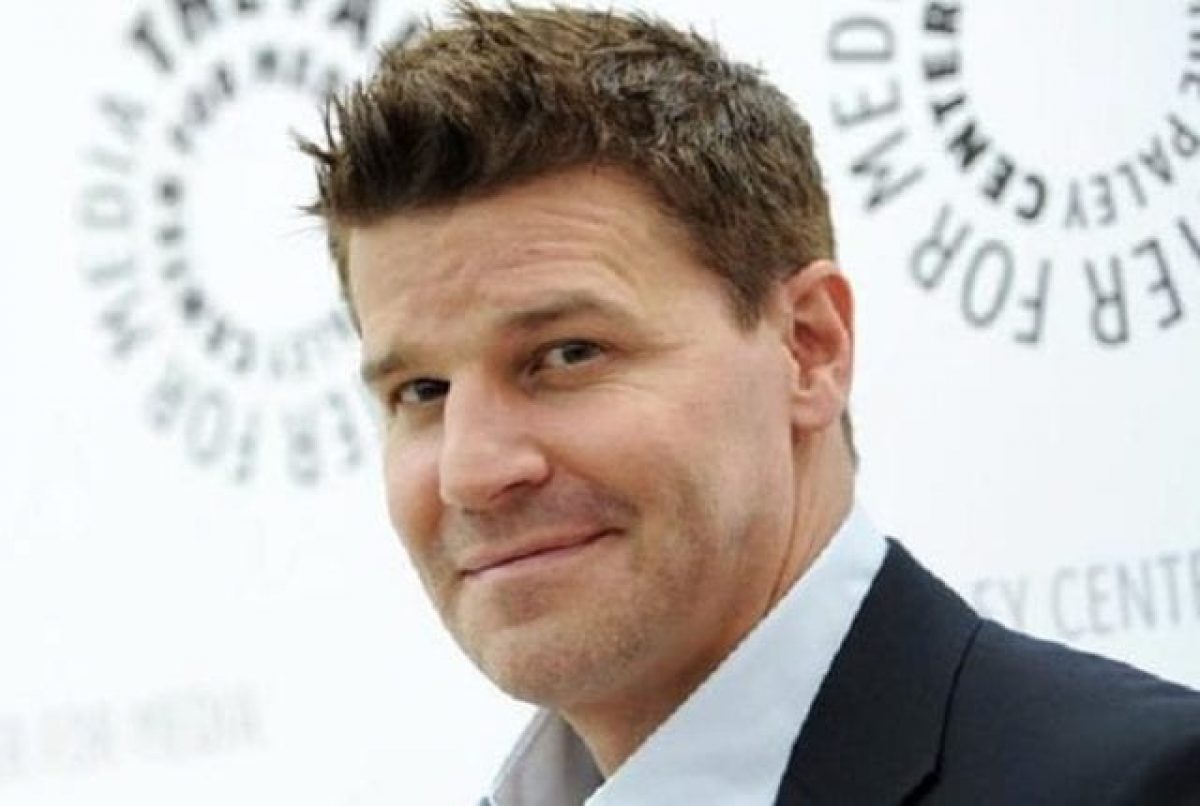 David Boreanaz Wiki Net Worth Wife Life Achievements And Timeline Networth Height Salary