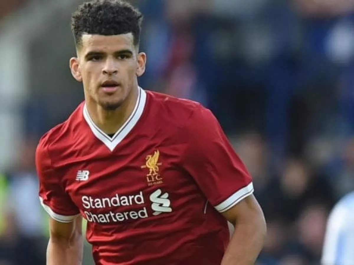 Dominic Solanke Parents, Bio, Height, Weight, Body Measurements - Networth  Height Salary