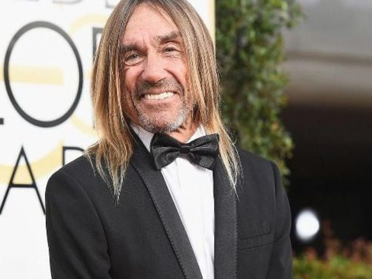 exploring iggy pop s musical legacy family life and whereabouts networth height salary networth height salary