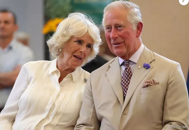 How Did Prince Charles Meet Camilla and How Long Have They Been Married ...