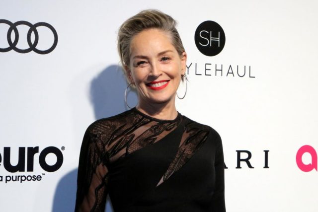 Sharon Stone - Biography and Net Worth: 5 Key Facts You ...