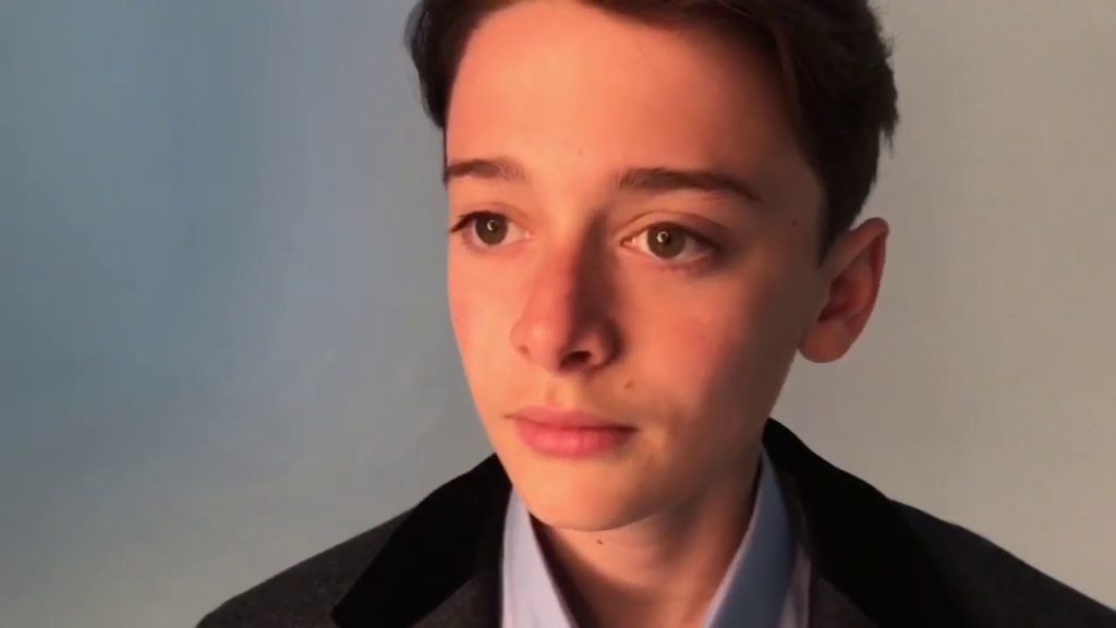 Who Is Noah Schnapp, How Old Is He, His Net Worth, Height - Networth ...