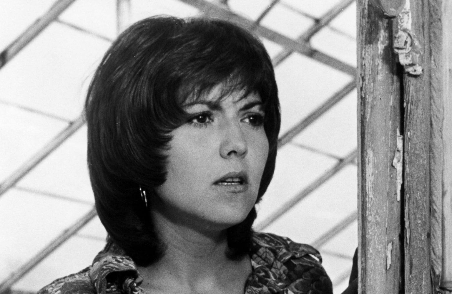 Brenda Vaccaro Bio, Age, Education, Career, Husband - Networth Height