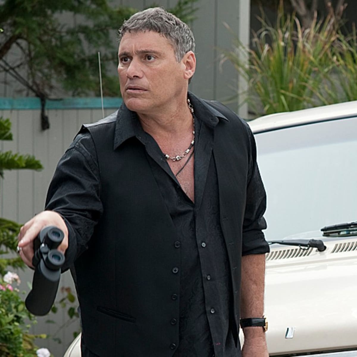 Steven Bauer's Age, Bio, Career, Net Worth - Networth Height Salary